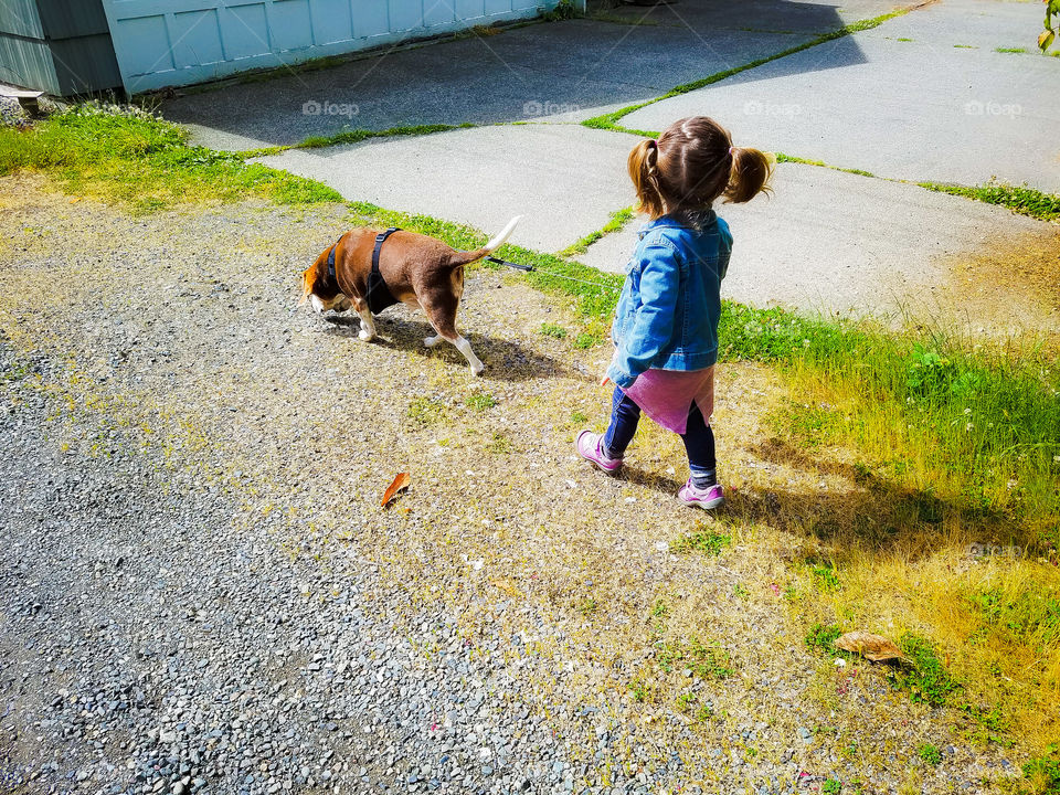 Little girl loves walking her doggy down the road