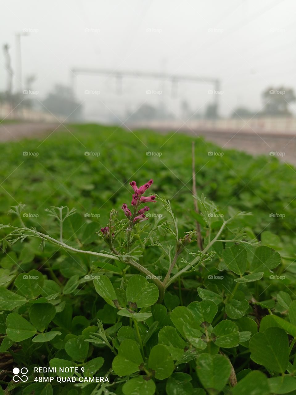 How much do you like this photo?