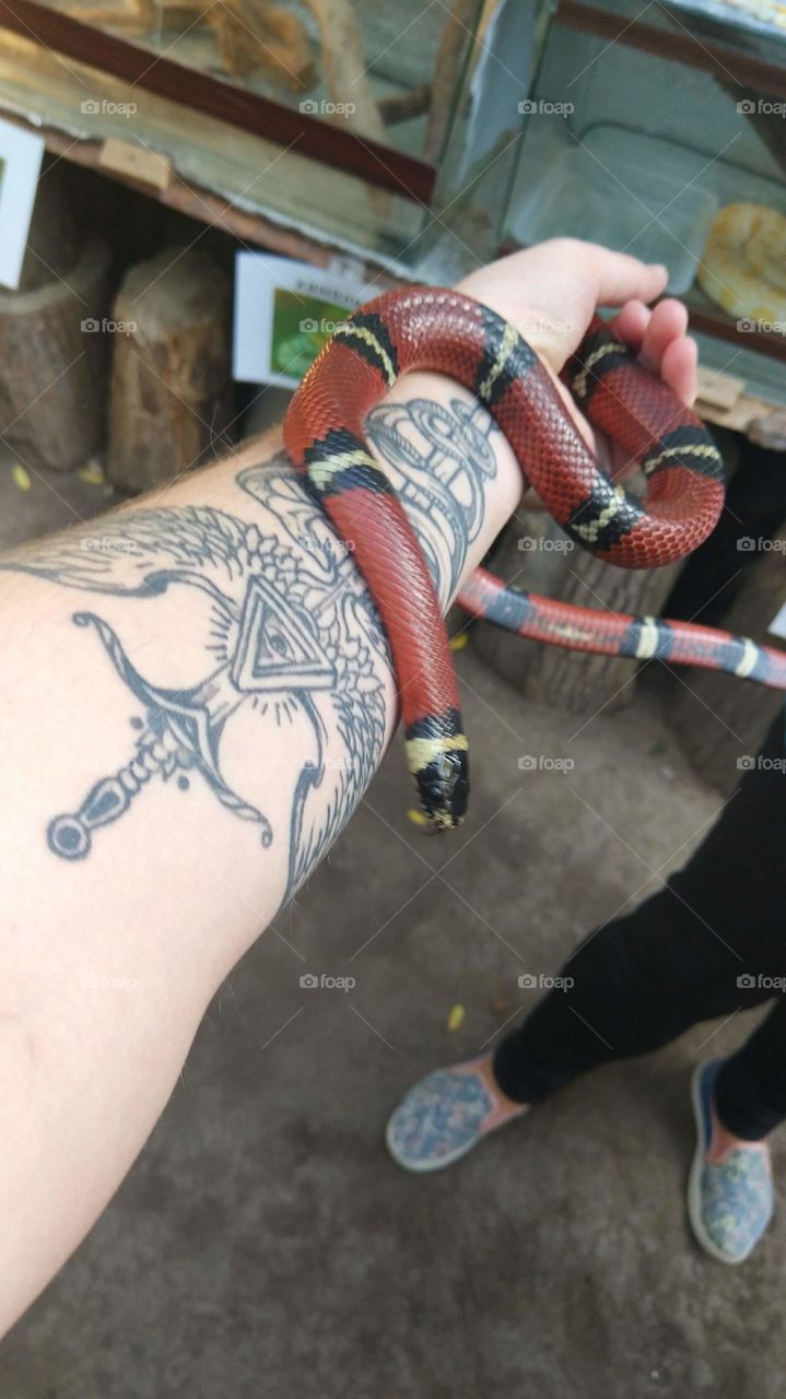 Snake tattoo and real snake