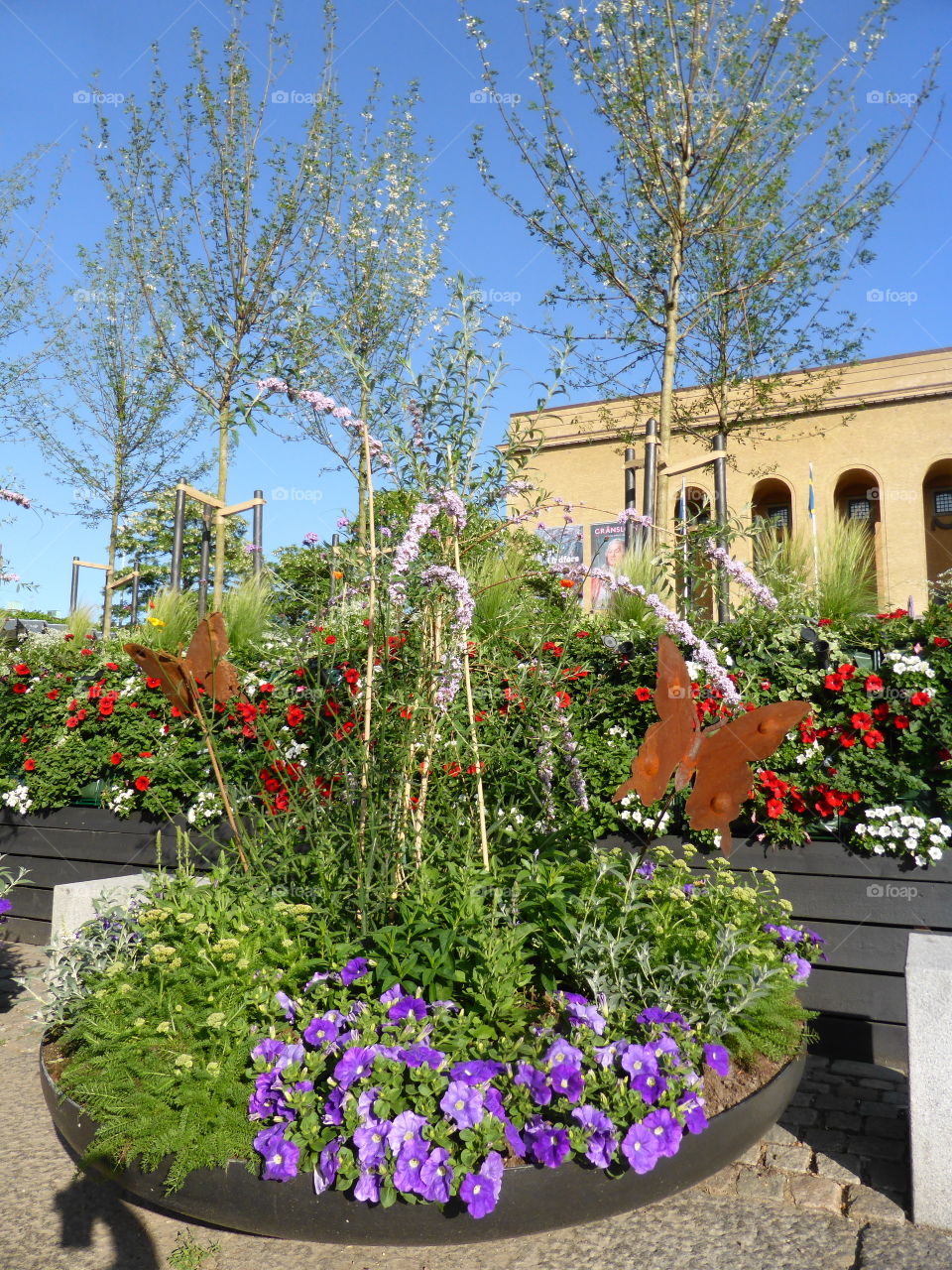 Urban garden 