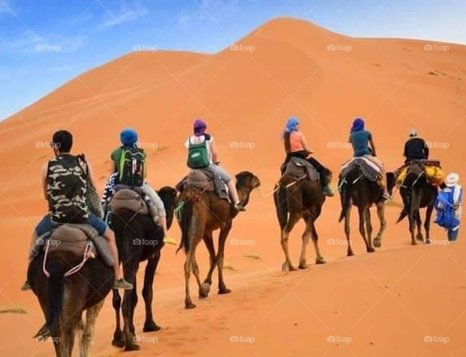 moroccan desert 🏜