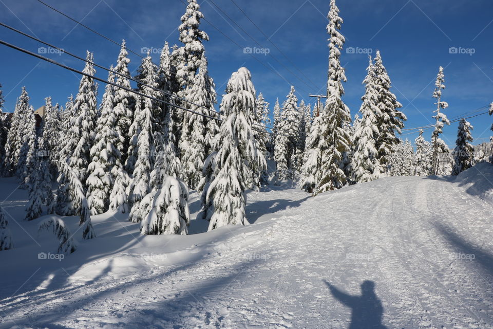 Winter scenery on the mountain-woman’s shadow against snow pointing the beautiful evergreen trees covered with snow