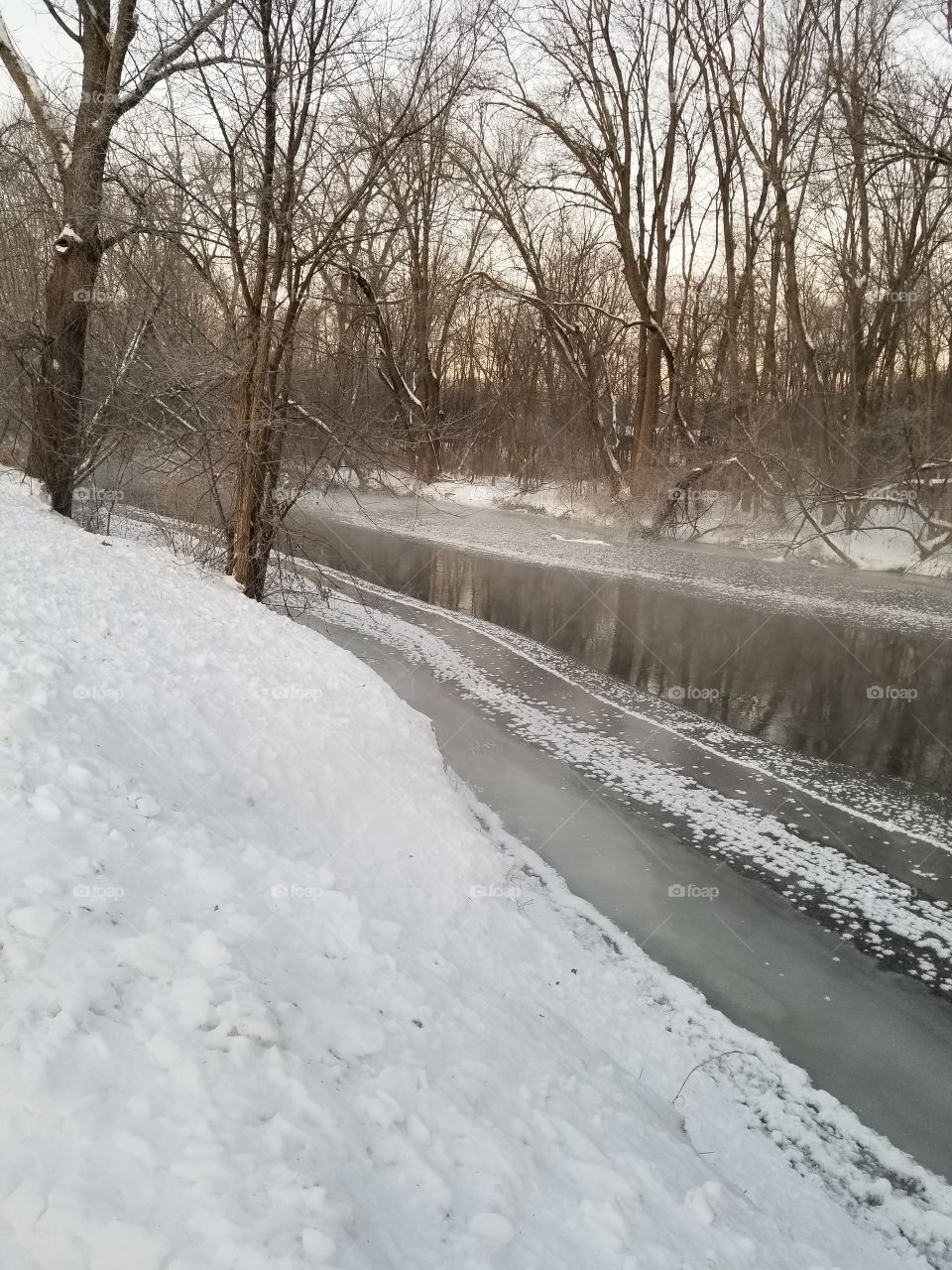 Winter, Snow, Cold, Frost, Ice