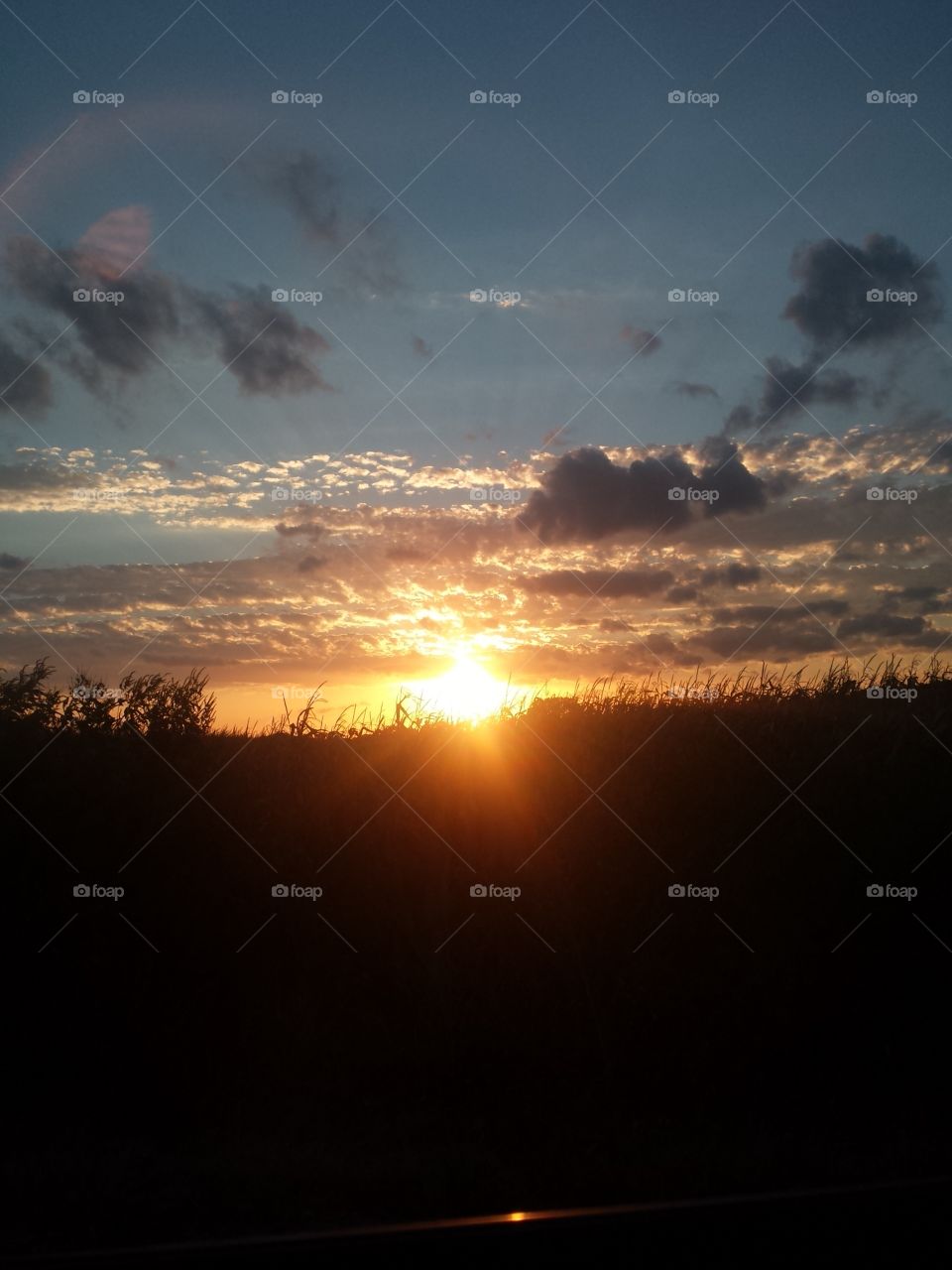 Sunset, Sun, Dawn, Landscape, Light