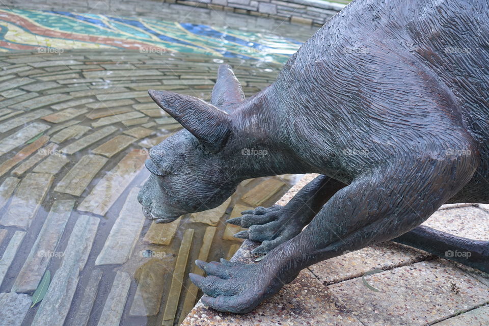 A kangaroo Statue drinking water in Stirling Gardens, Perth, Western Australia.