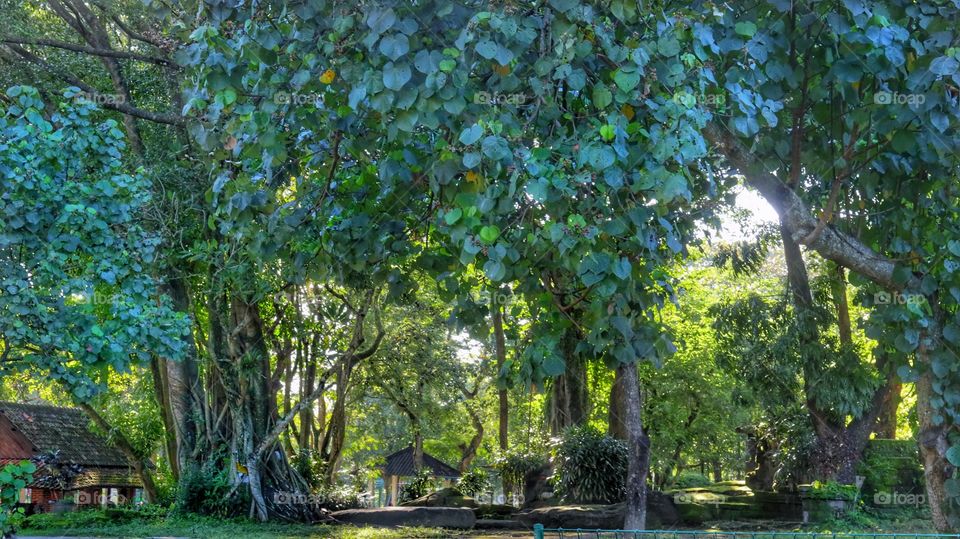 Spooky spot inside the Prambanan temple compound, near Jogjakarta, Indonesia