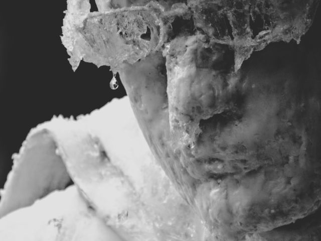 ice man