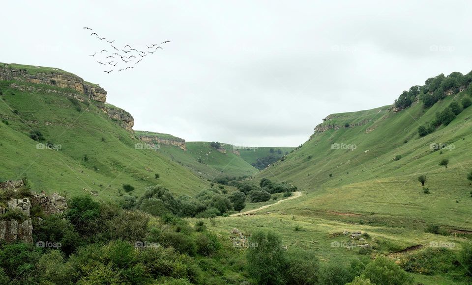 green mountains view