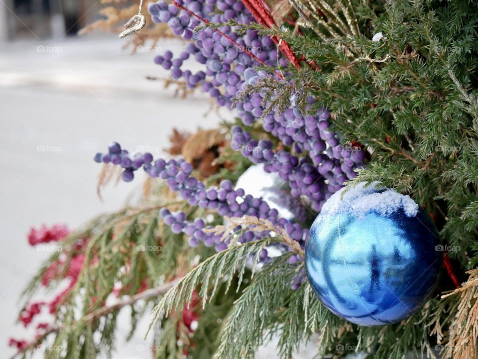 A touch of color in winter, still adorning the evergreen plants outside of the local mall. 