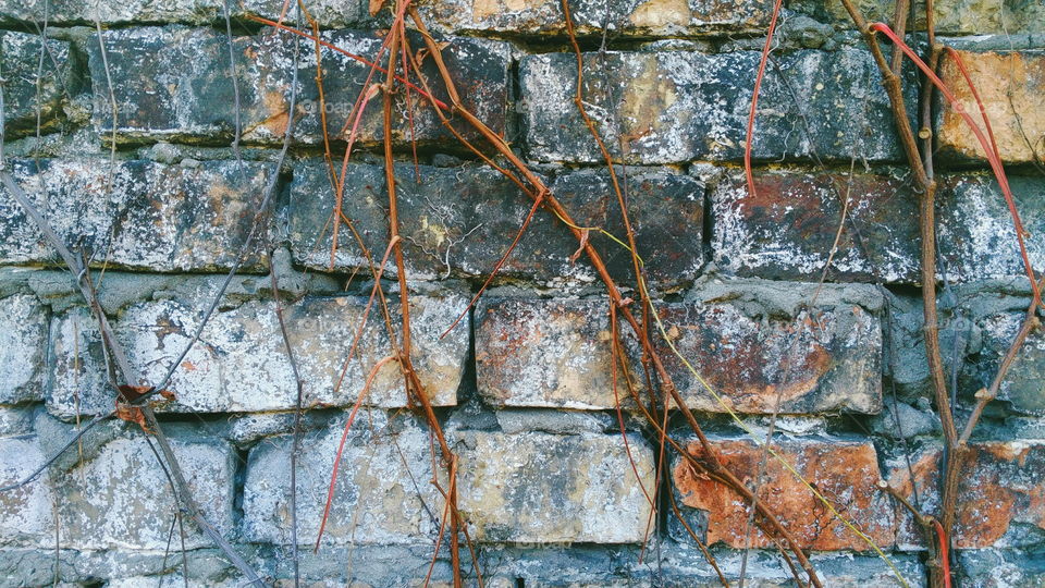 old brick wall