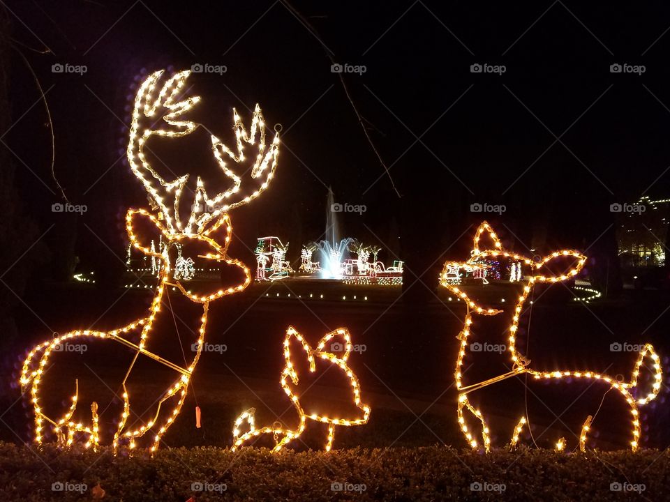 Reindeer Light show
