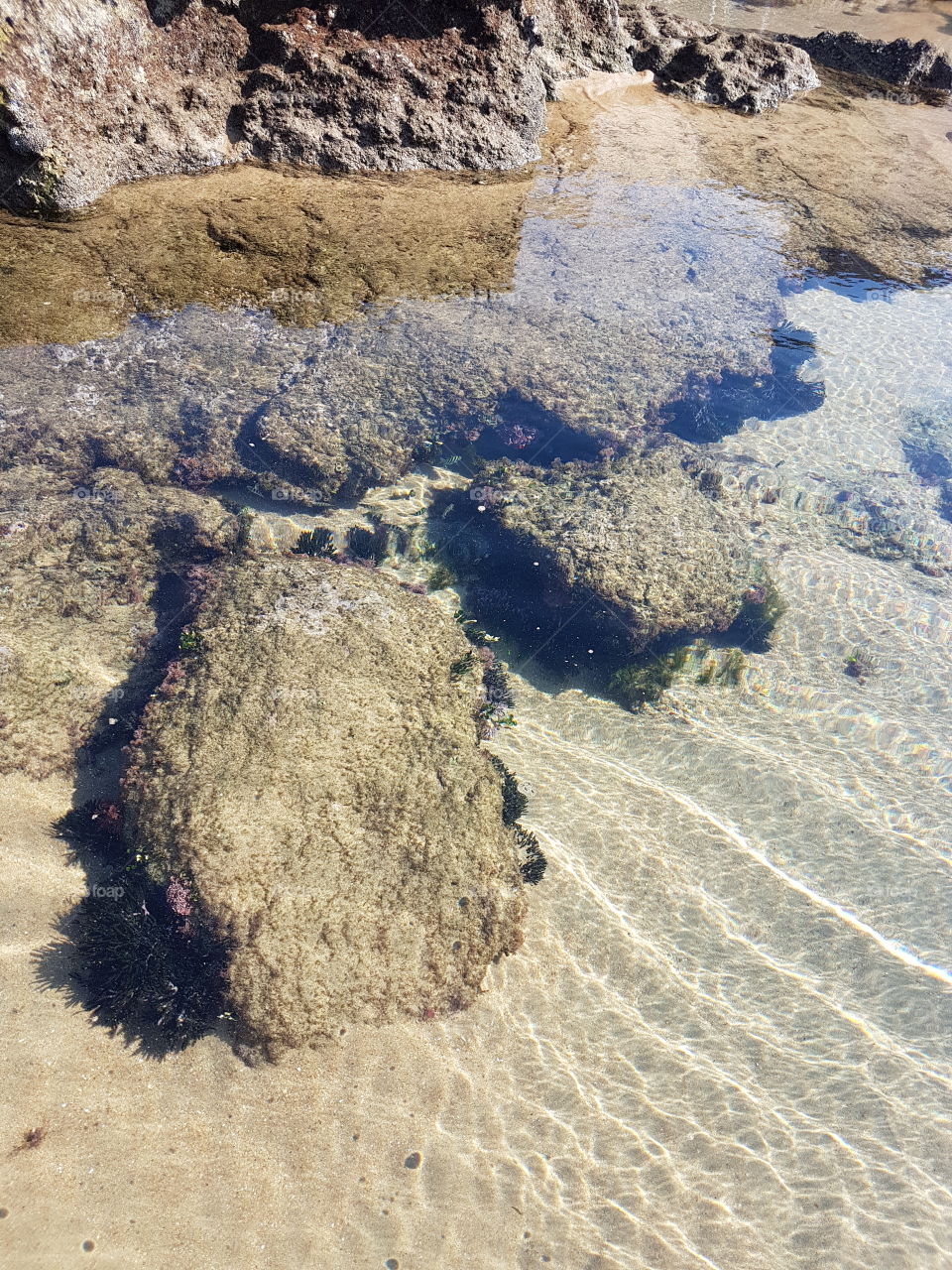 Shallow reef at the beach