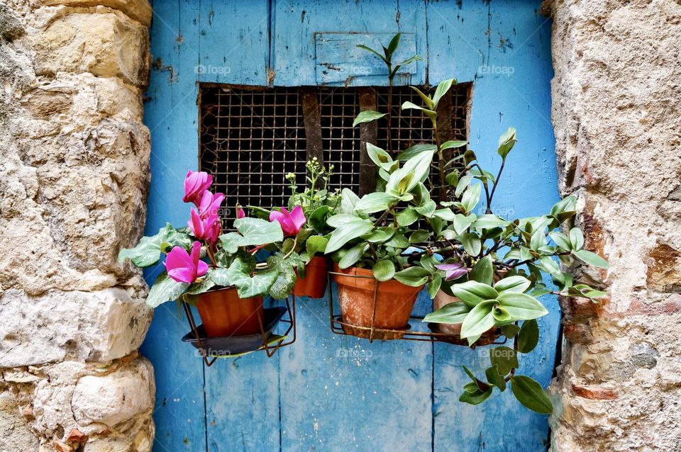 Potted plants coming to life in a medieval town. 