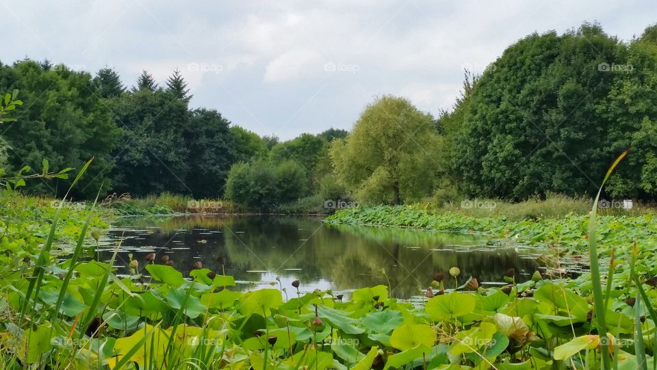 Little pond in Rennes, France