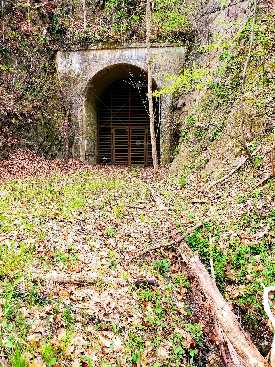 Tunnel off C&O towpath