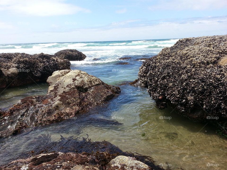 I love the beach but I love the ocean more.