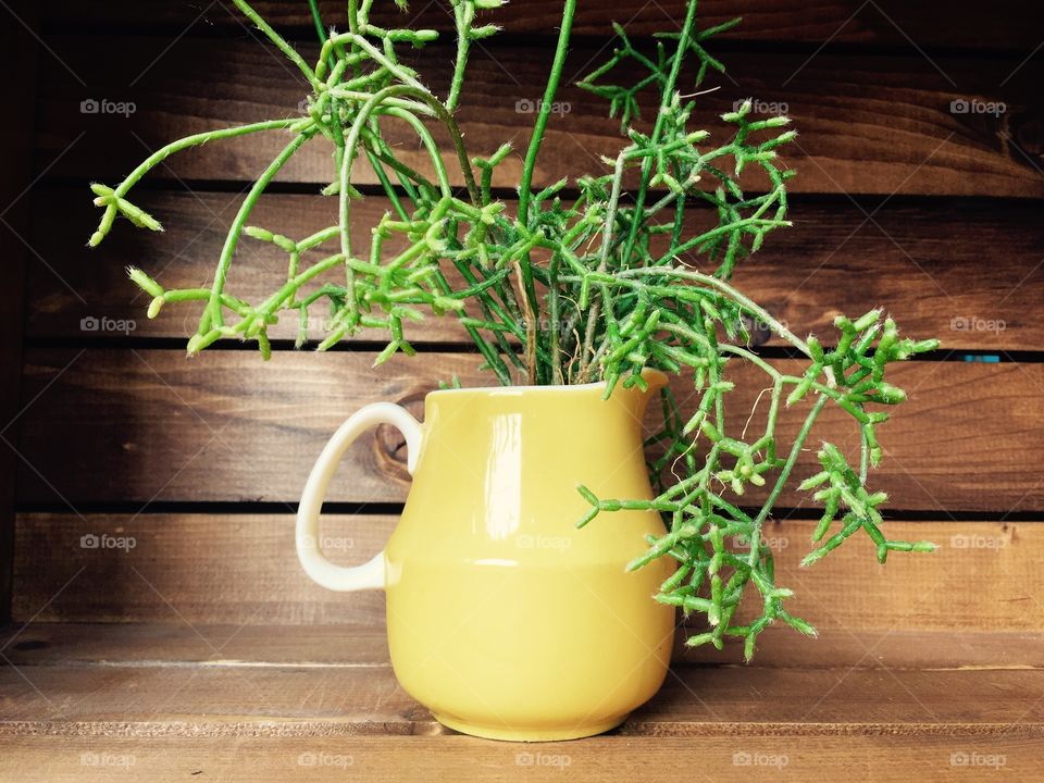 Yellow Plant Pot