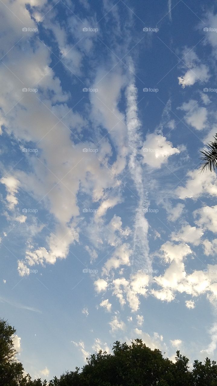 evening from the pool