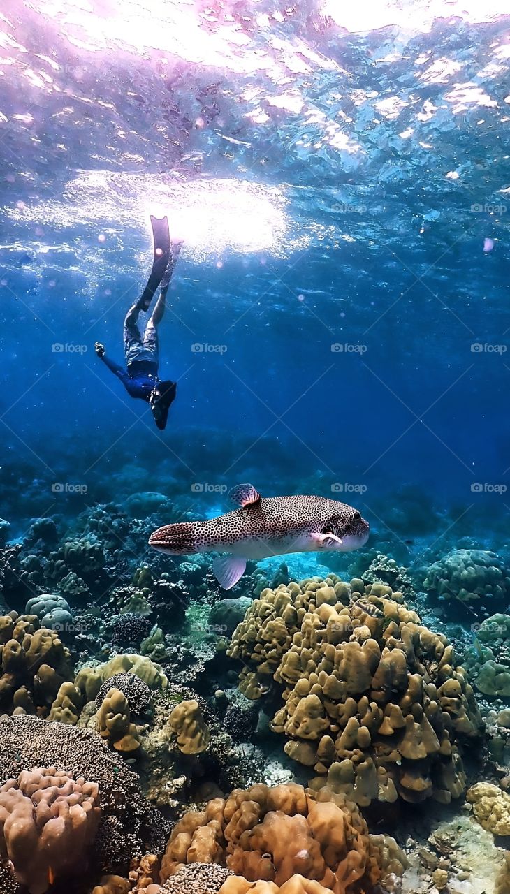 diving with new friend