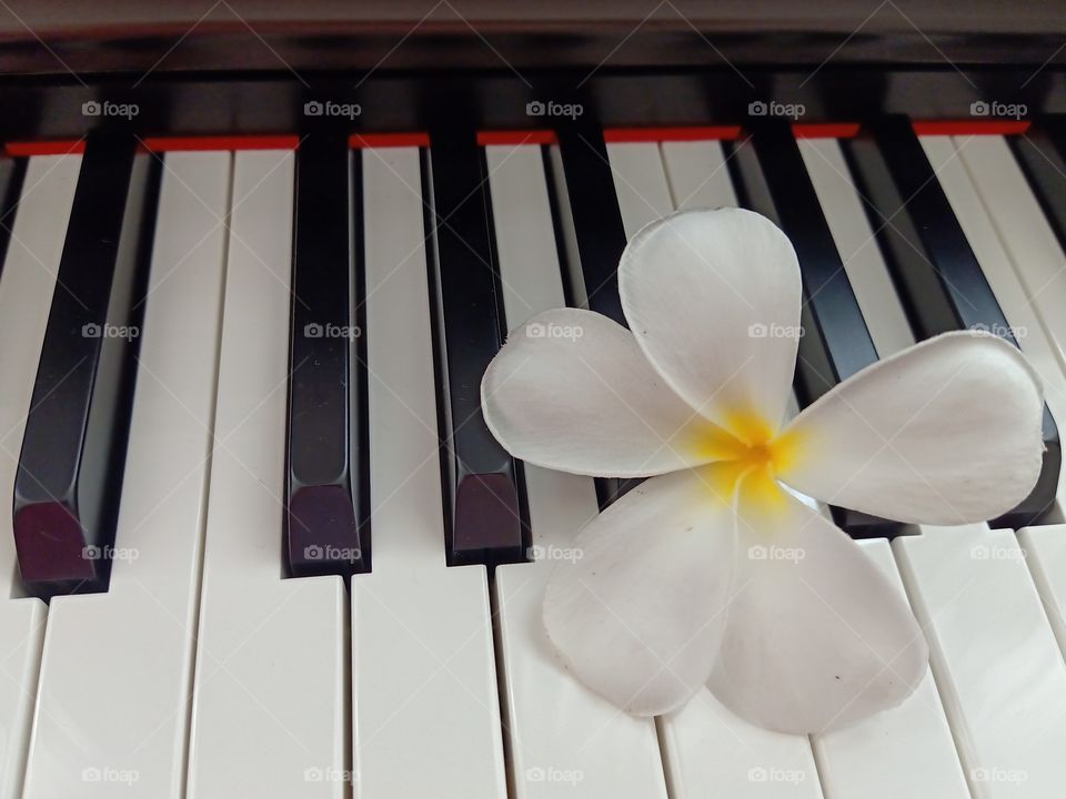 Life is like a piano.