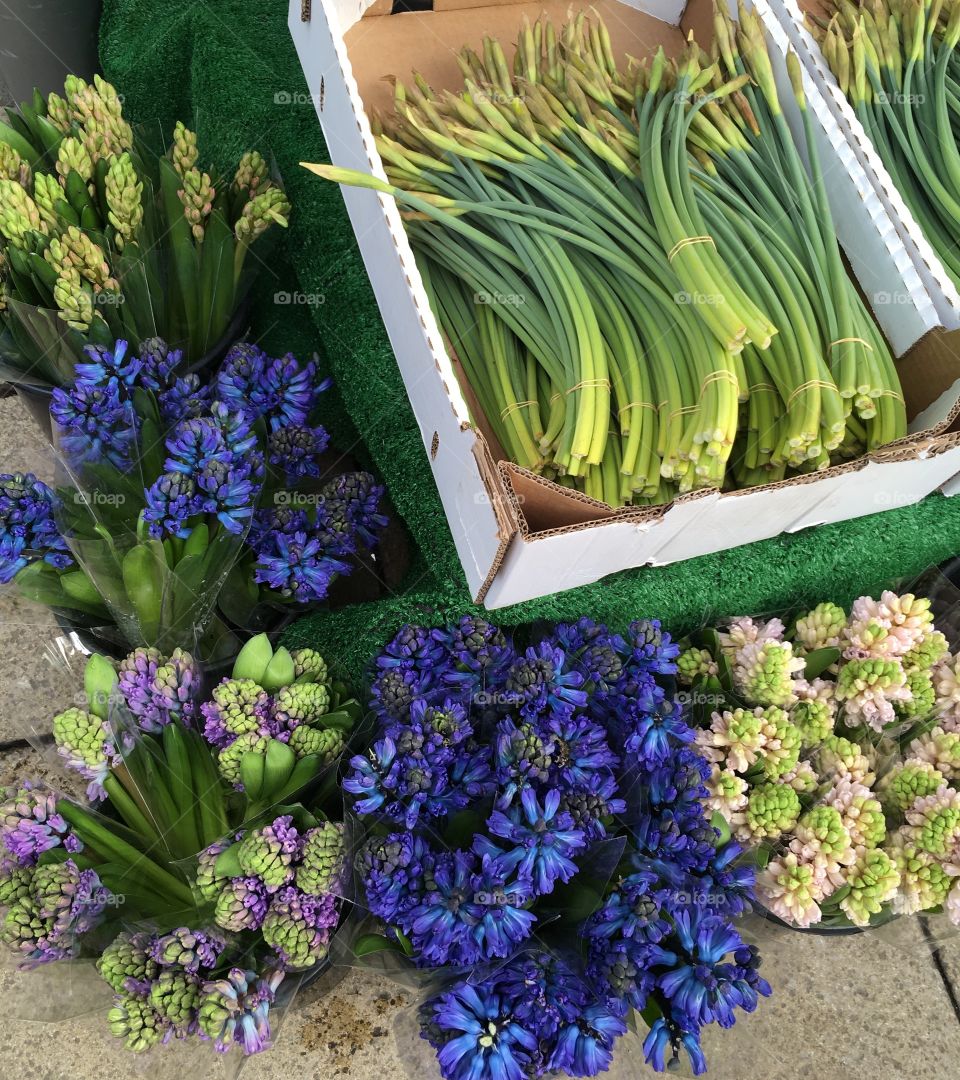 Flower market of spring flowers 