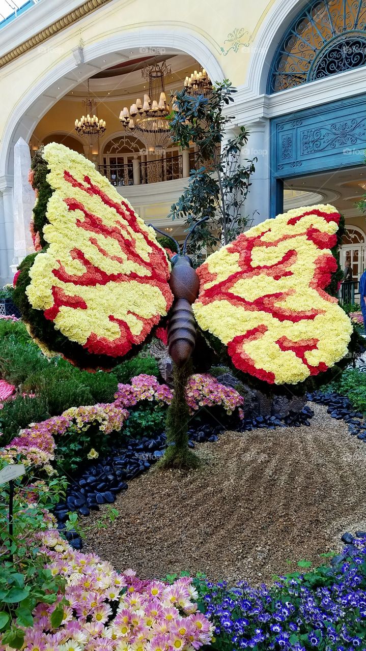 Flower butterfly