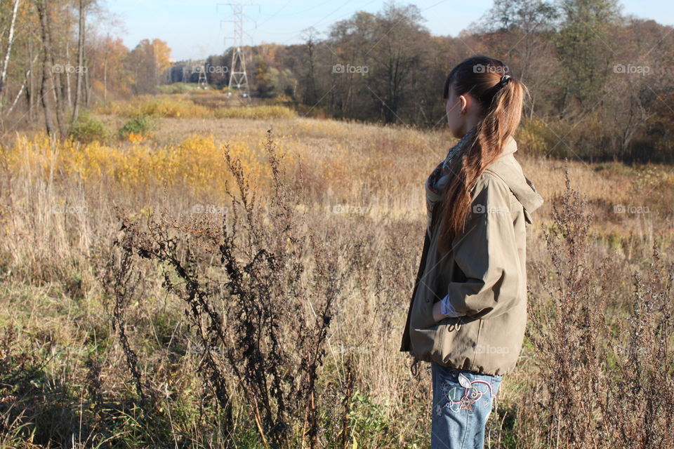 walk in the autumn morning forest. silence and tranquility of nature