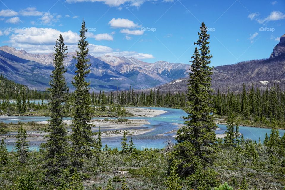 Beautiful Nature .. driving through the Rockies after visiting The Icefields Parkway we stopped to take in the awesome view 💗