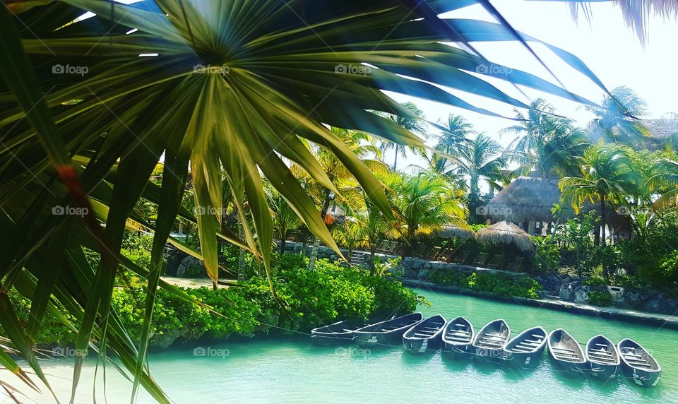 Riviera maya Living da Life