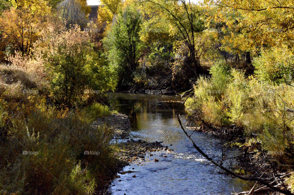 Autumn Clear Creek