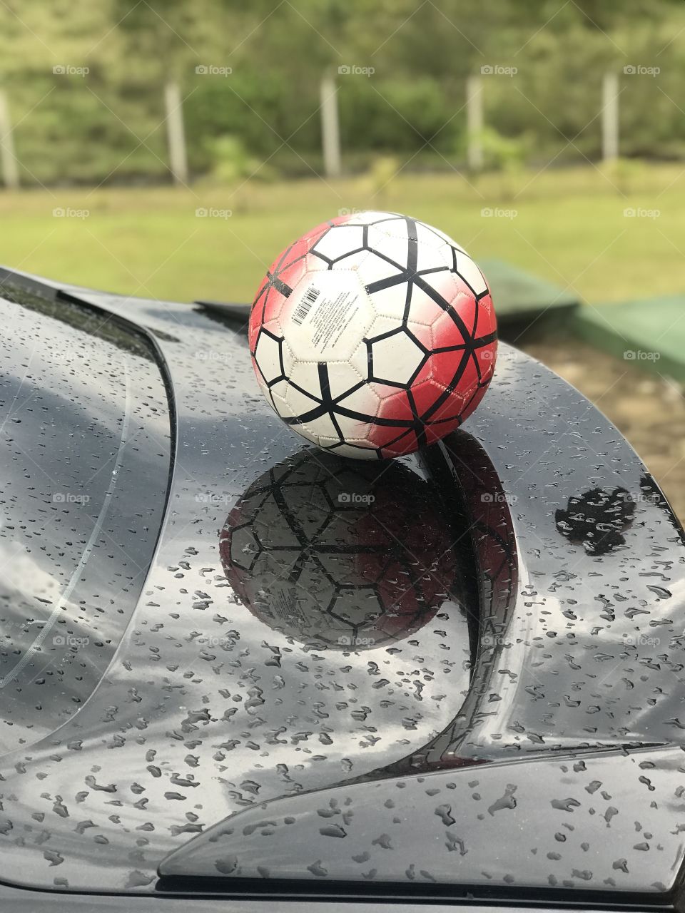 Ball in a Ford titanium car fusion