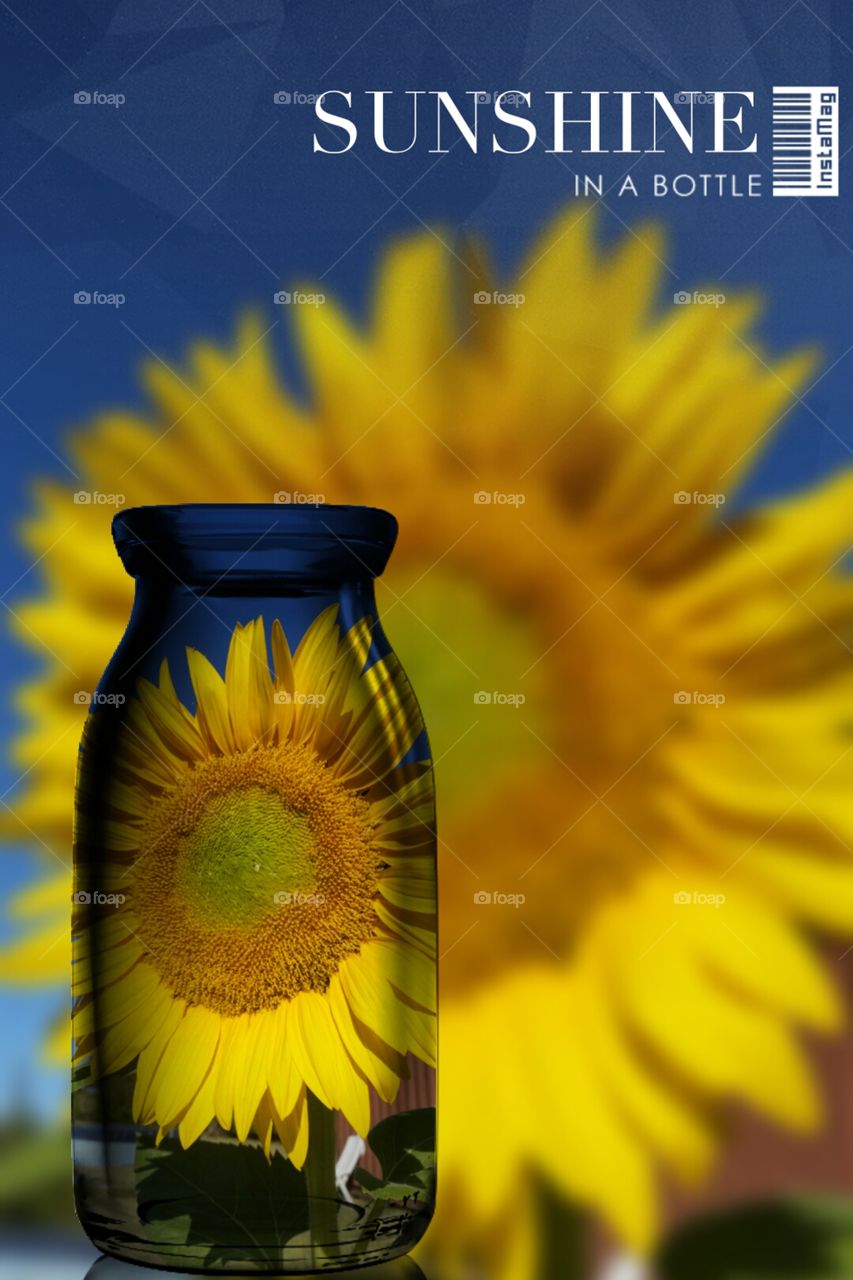 sunshine in a bottle