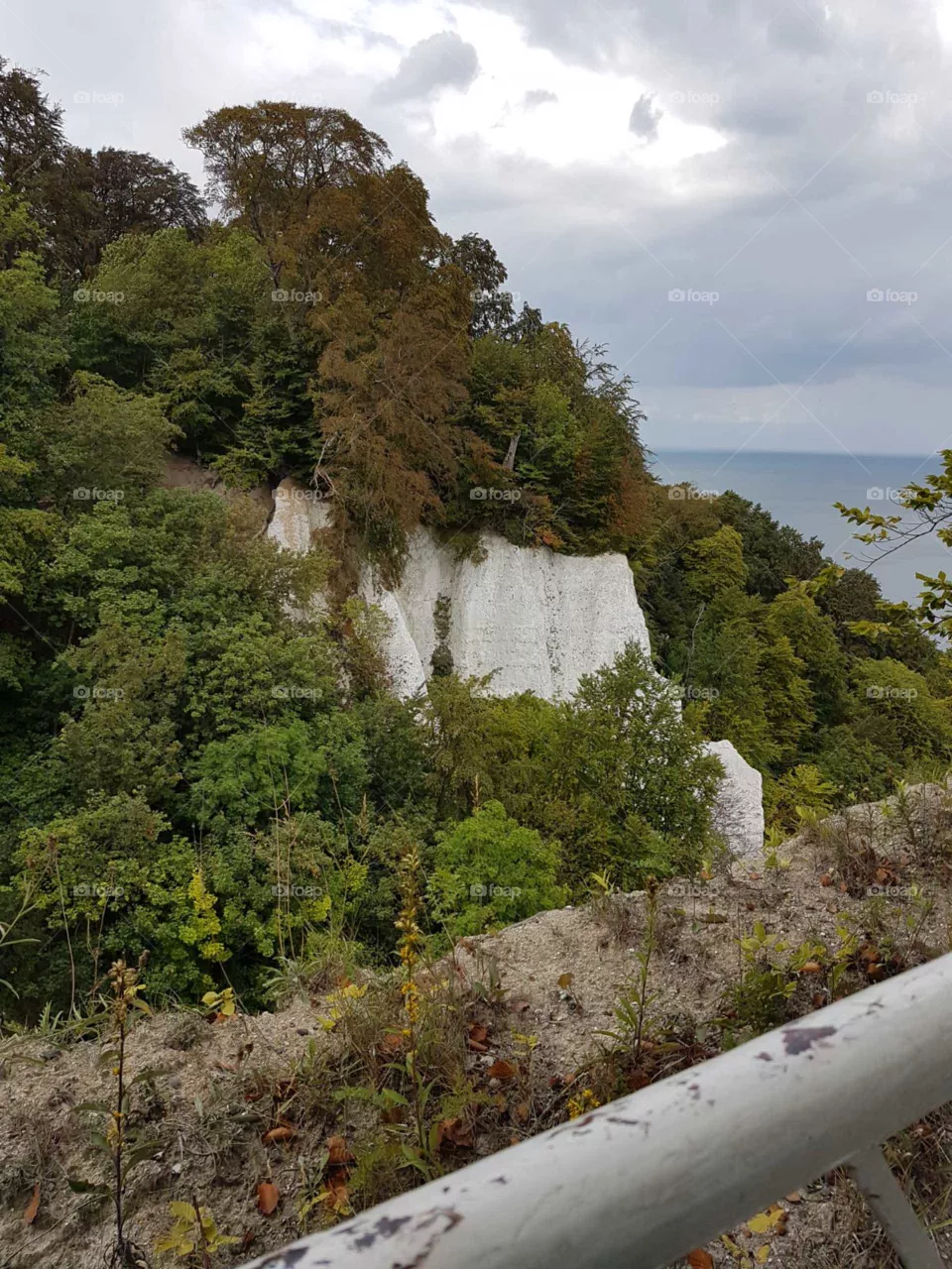 Natur