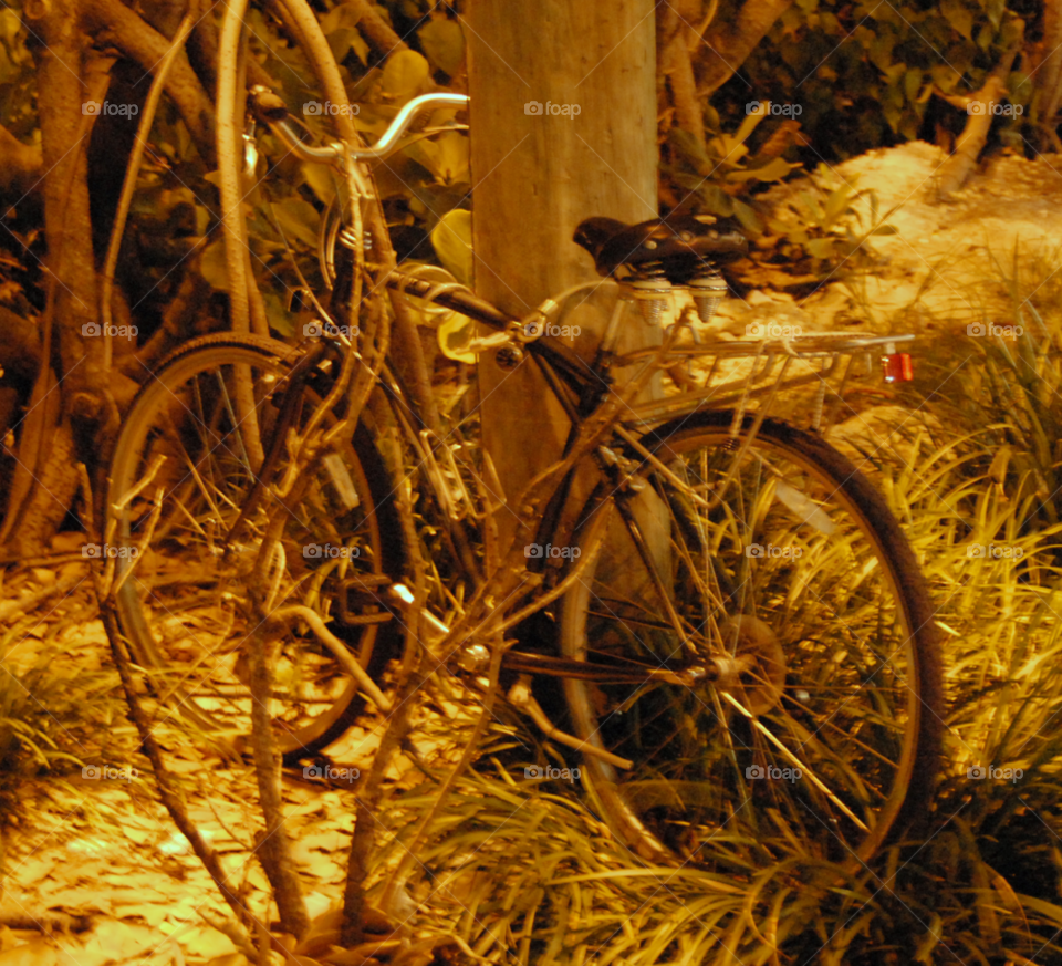 bicycle bike by lightanddrawing