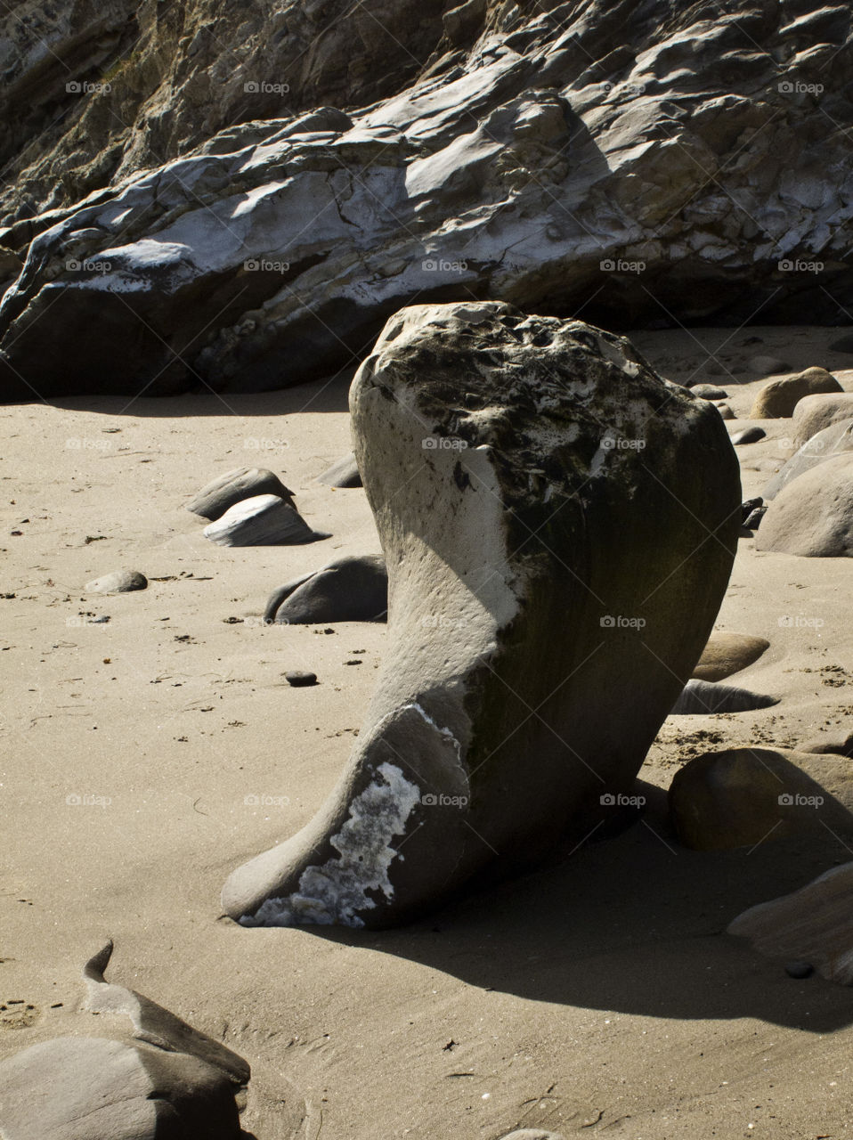 A rock formation on Shoreline Beach in Santa Barbara. One of nature's abstract sculptures.