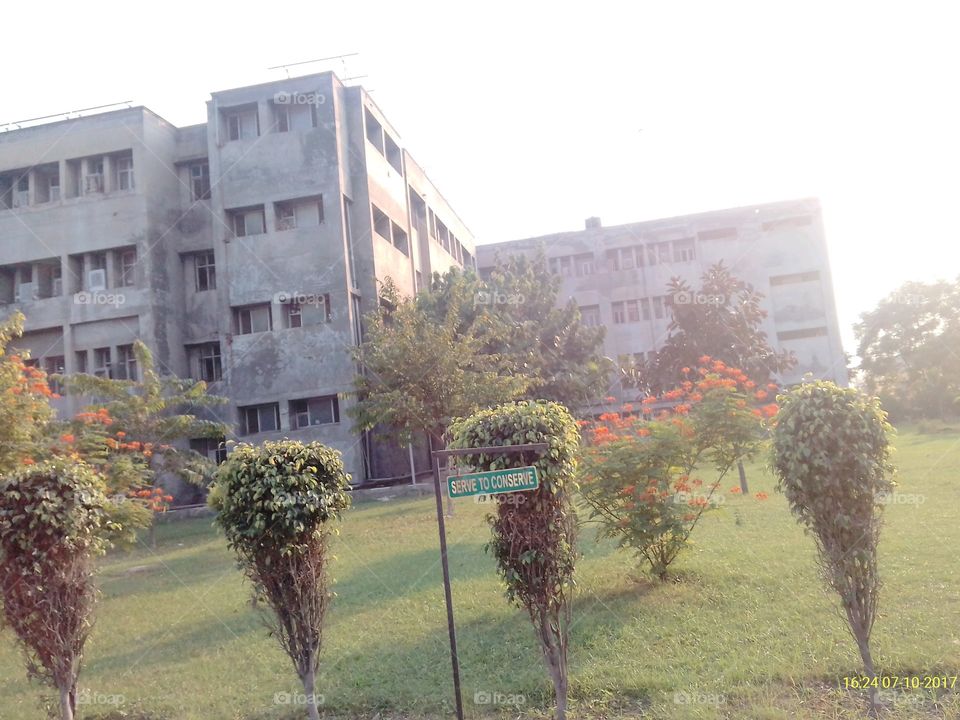House, Tree, Building, Architecture, No Person
