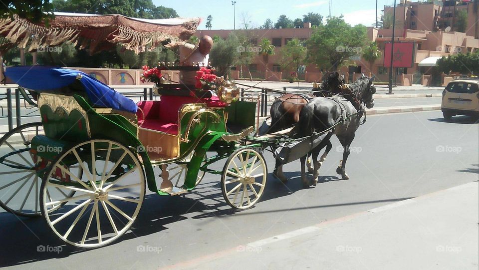 Public transport in Morocco:  Caleche.