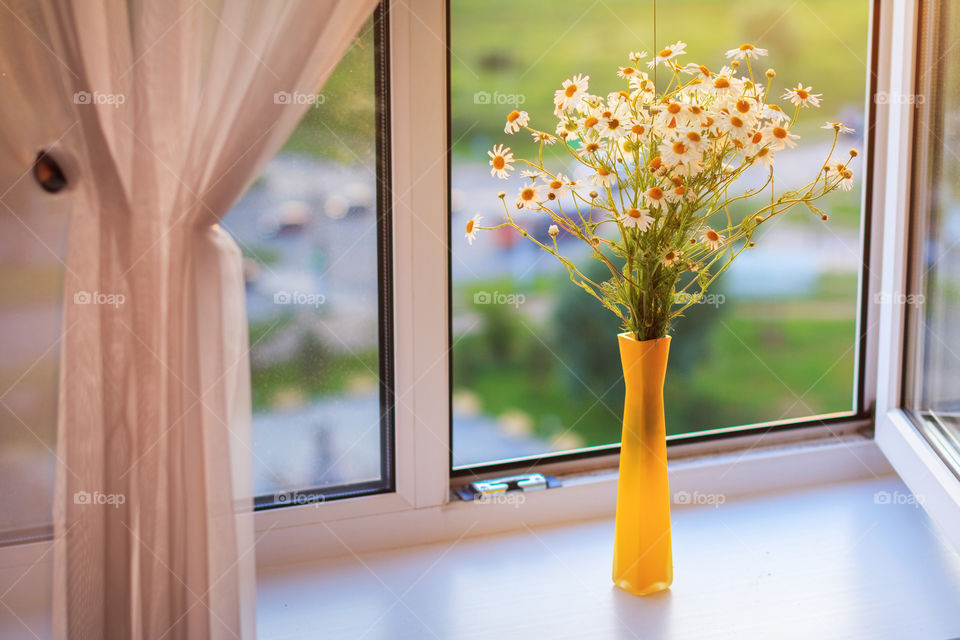 Bouquet of chamomiles