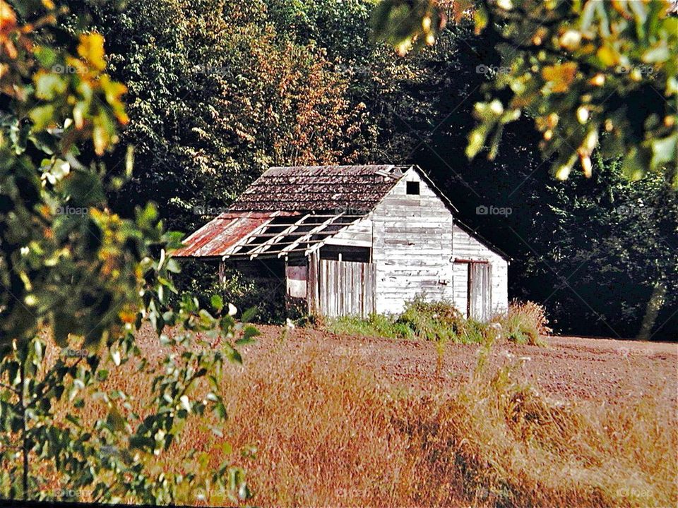 Barn in the Kootenays