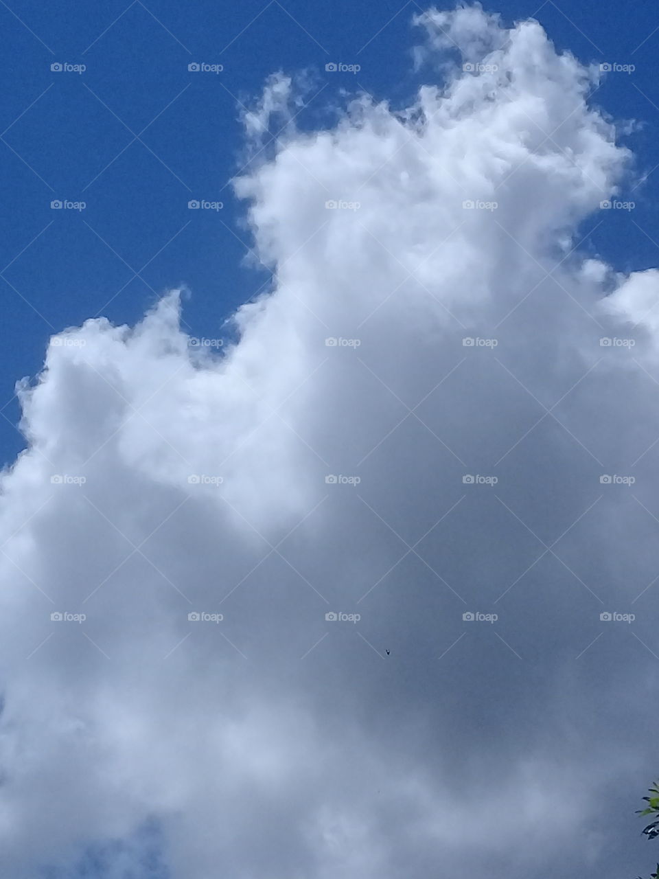 imagen de una gran nube, gris y blanca avanzando sobre un límpido cielo de verano.