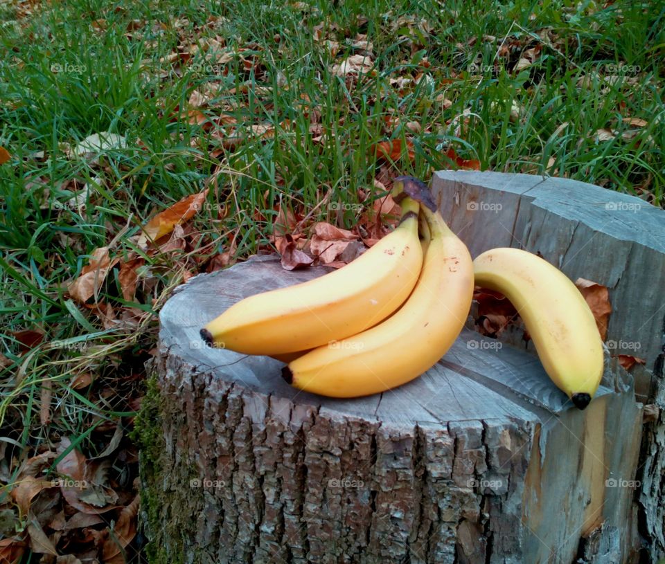 Banana, No Person, Fruit, Food, Wood