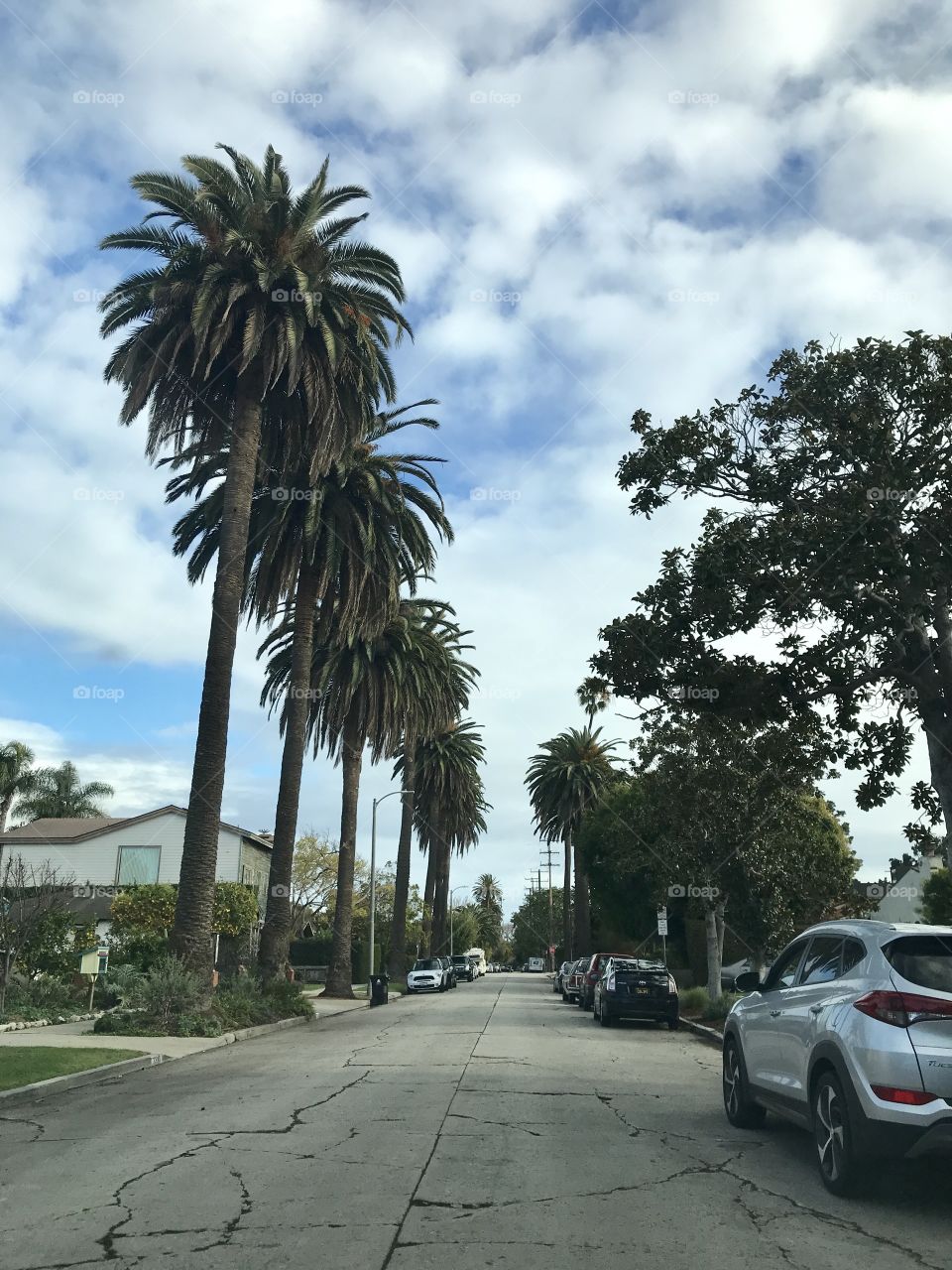 Suburbs in Venice Los Angeles California USA