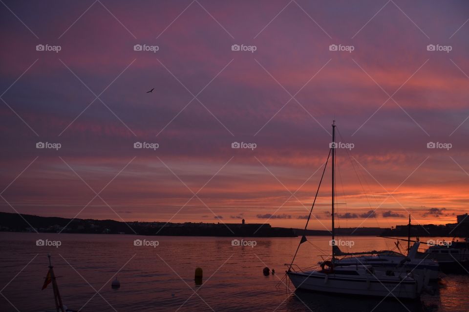 Purple and orange in the harbor 