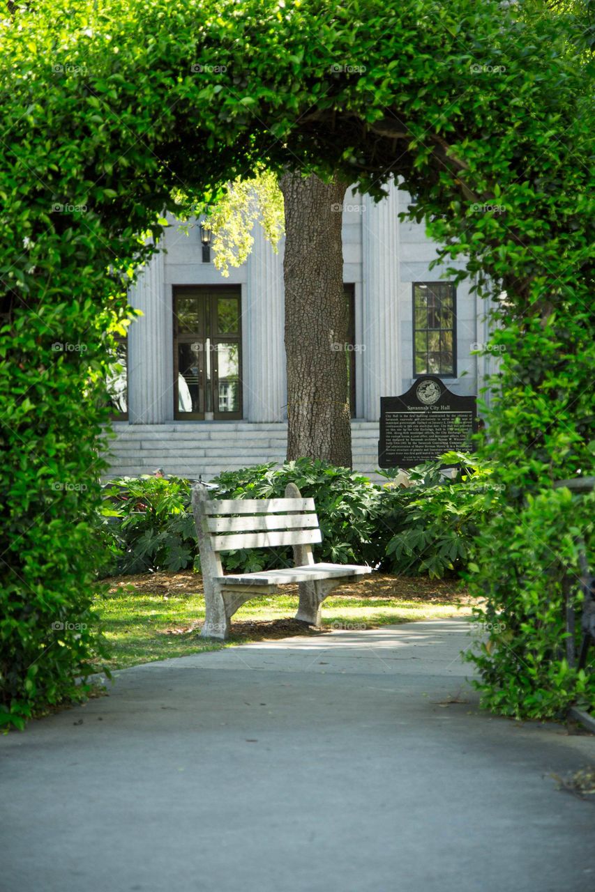 Bench in the springtime 