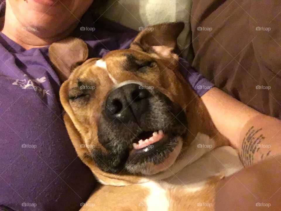 Squishy face 