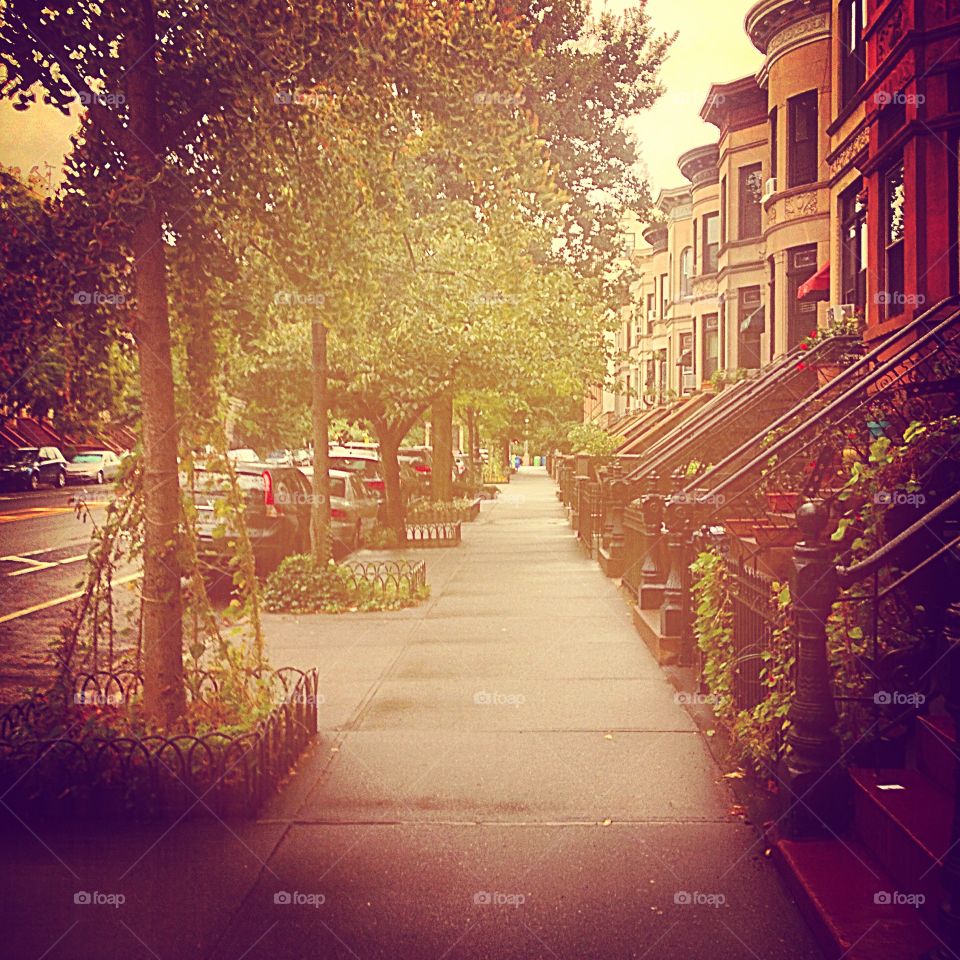 Brooklyn brownstones 