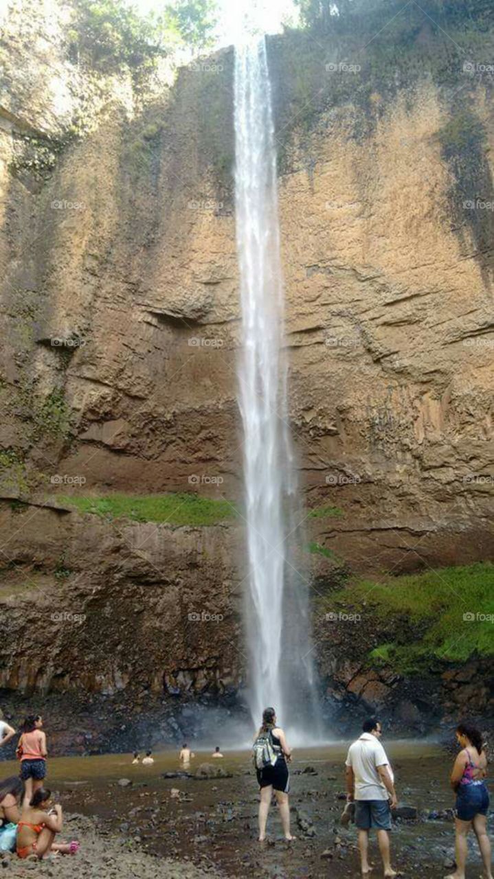 grasshopper waterfall waterfall
