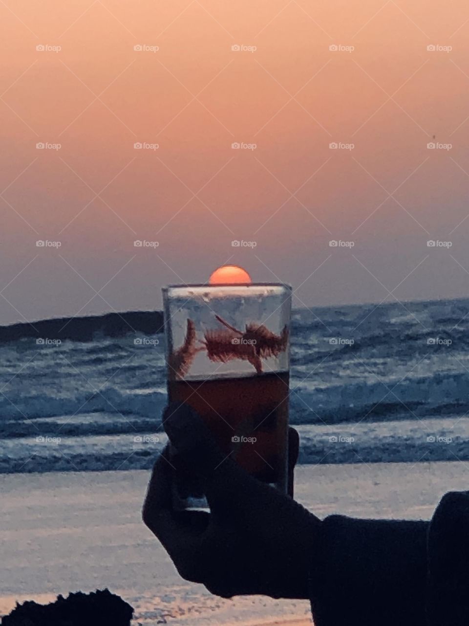 Beautiful sunset into my cup if tea