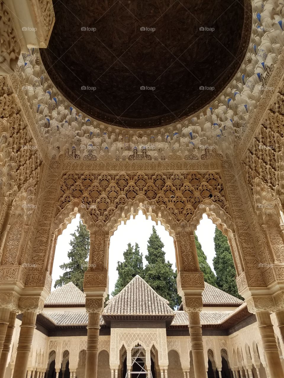 Detailed Panels in the Palace of Alhambra