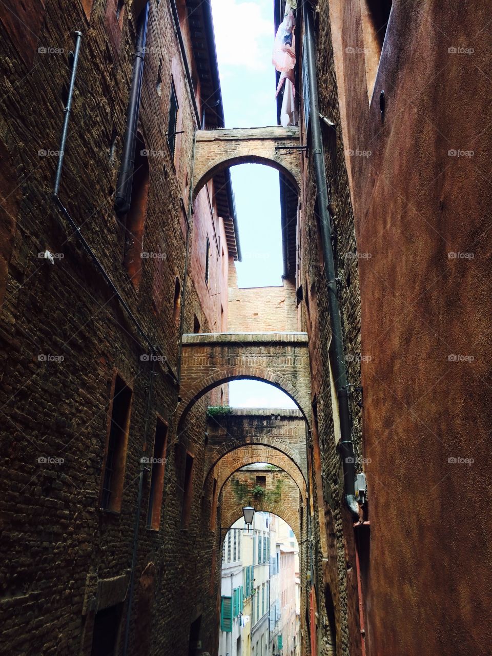 Siena